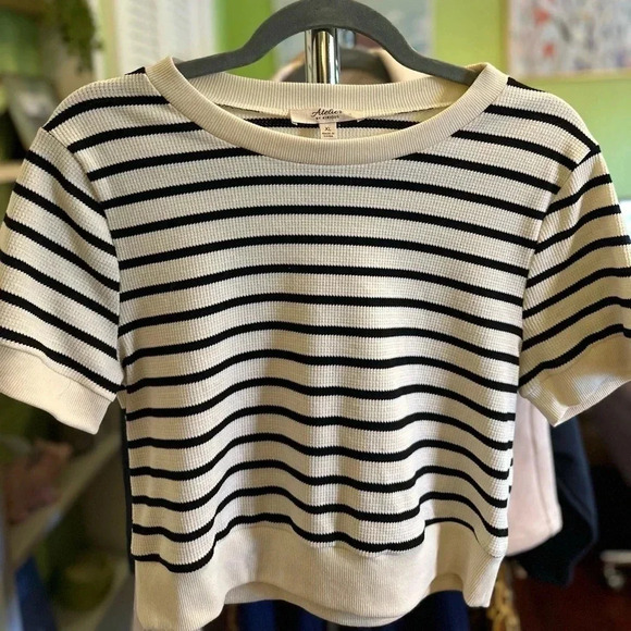 Atelier by Kirious Women's Striped Short Sleeve Knit Cropped Top, XL - Picture 1 of 3